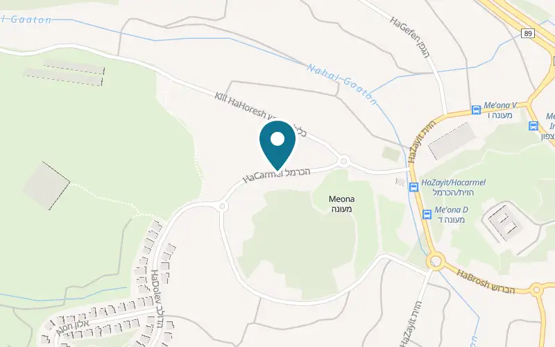 Map showing Ahuzat Alin at 88 HaCarmel Street, Me'ona, Me'ona