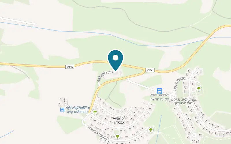 Map showing Beit HaBad Avtalion at Beit HaBad Avtalion, Avtalion, Misgav, Avtalion
