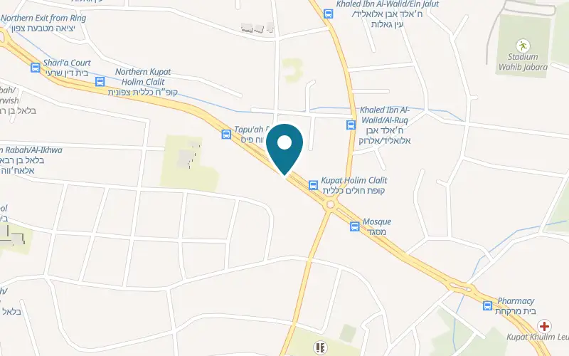 Map showing Burgerenia at 30 Mahmoud Darwish Street, Taibe