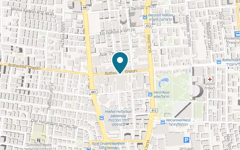 Map showing Icon Fitness Rishon LeZion at 45 Rothschild Street, Rothschild Mall, Rishon LeZion