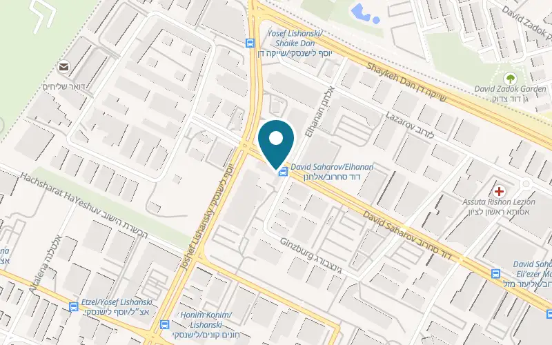 Map showing Lilach Flowers at 6 David Sakharov Street, Rishon LeZion