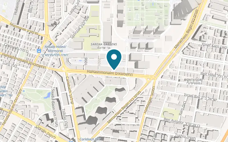 Map showing Mushlemet House of Beauty at 113 HaHashmonaim Street, Tel Aviv-Yafo