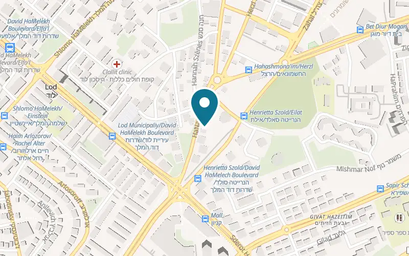 Map showing Nagisa Express at 3 HaNassi Street, Lod
