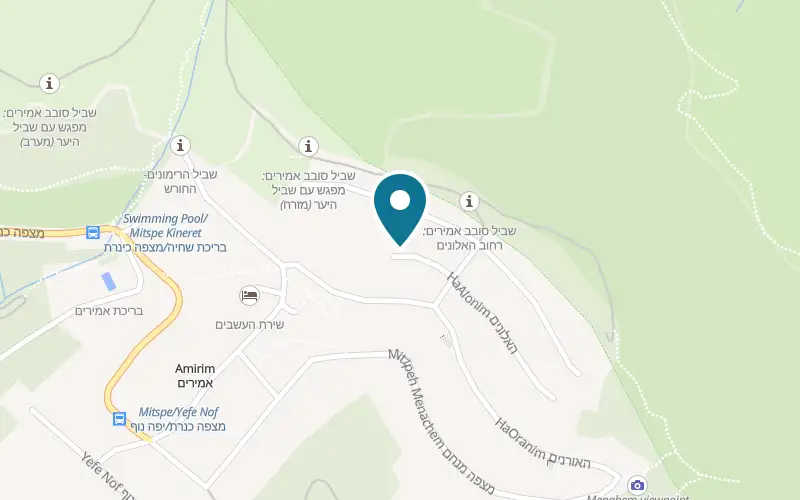 Map showing Neimat HaHalil at 171 HaAlonim Street, Amirim