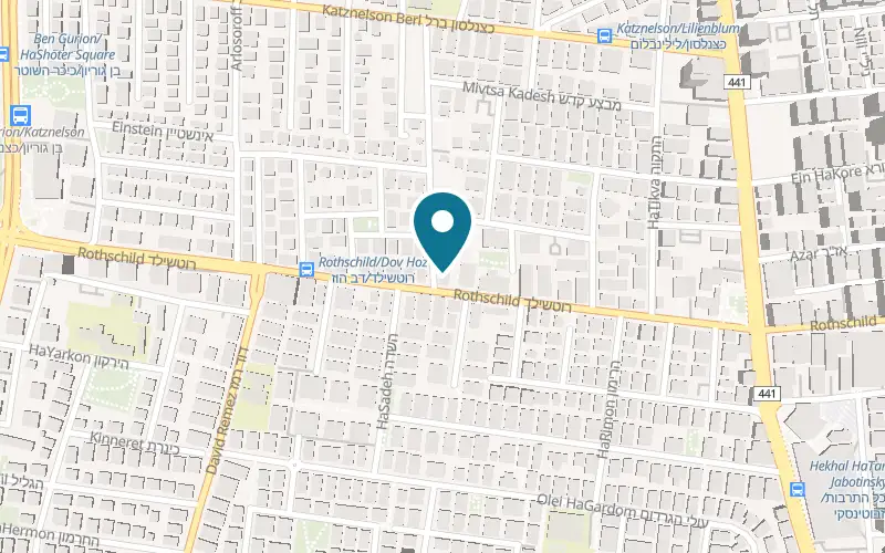 Map showing Odel Boutique at 84 Rothschild Boulevard, Rishon LeZion