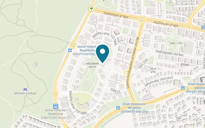 Map showing Pizza 194 at 1 Moshe Lerer Street, Ness Ziona