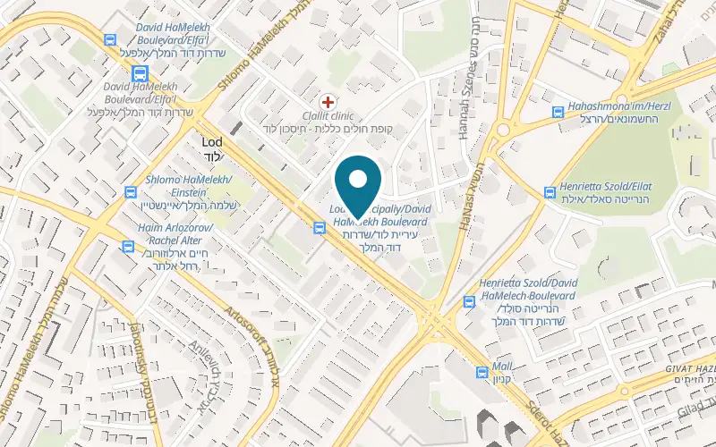 Map showing Pizza Italiano at 2 David HaMelech Boulevard, Lod