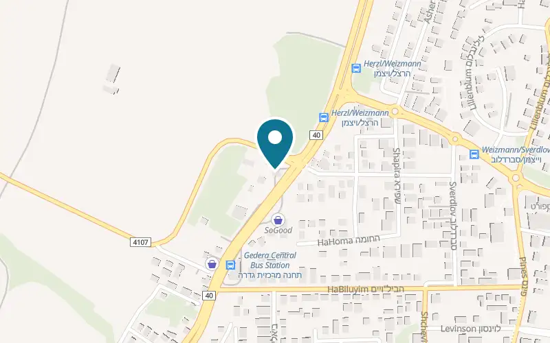 Map showing Pizza Regina at 3 Herzl Street, at the Sadash fuel station, Gedera