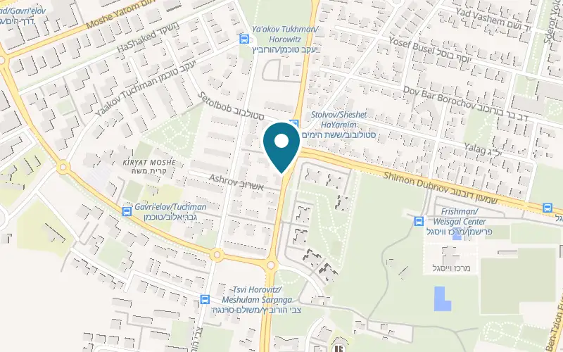 Map showing Pizza Shemesh Rehovot Sheshet HaYamim at 95 Sheshet HaYamim Street, Rehovot