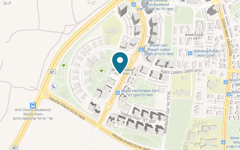 Map showing Pizza Story Ramla at 16 Moshe Levi Street, Ramla