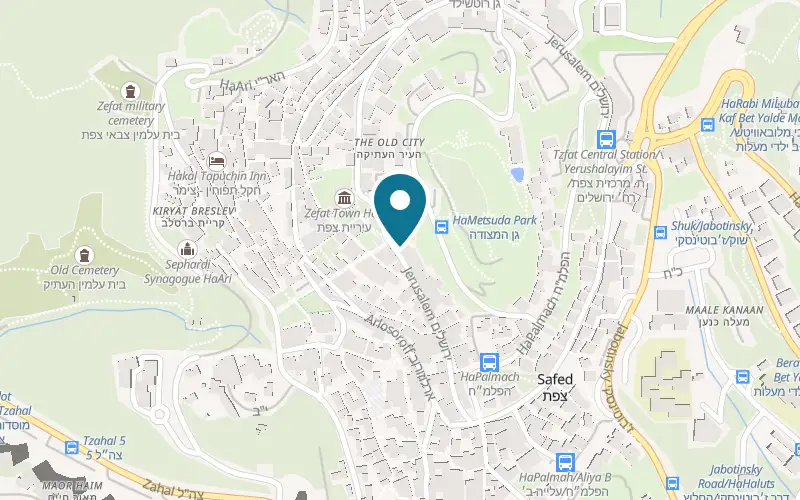 Map showing Shiitake at 53 Jerusalem Street, Safed
