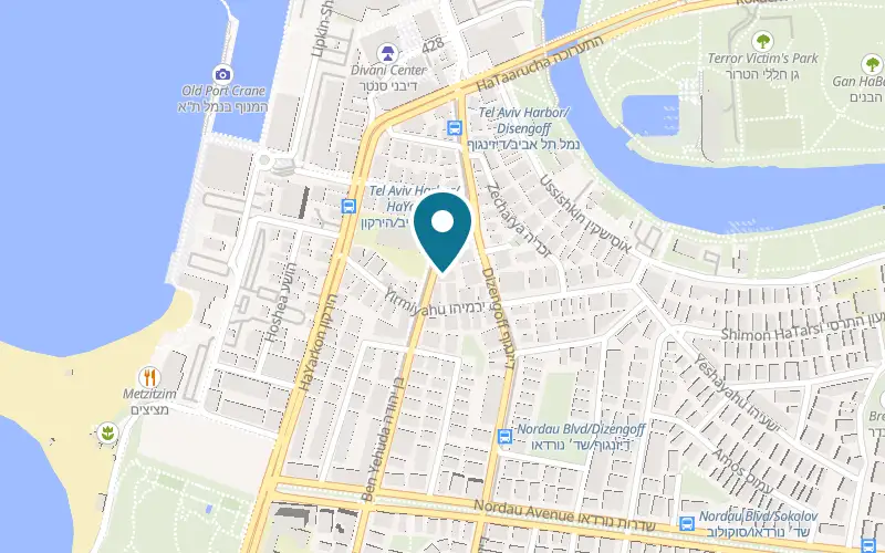 Map showing Shtsupak at 256 Ben Yehuda Street, Tel Aviv-Yafo