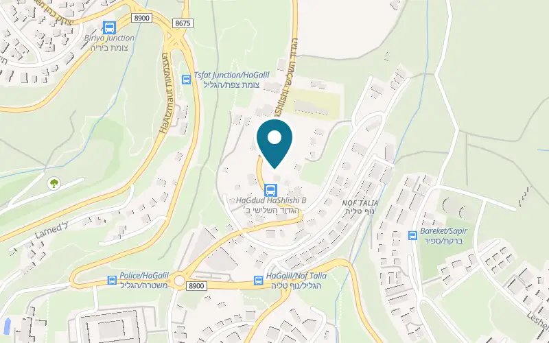 Map showing Sumac at 106 HaGdud HaShlishi Street, Safed