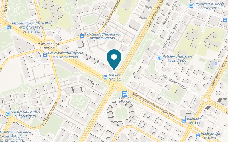 Map showing Texas Steak House at 11 Tashah Street, the City, Ashdod