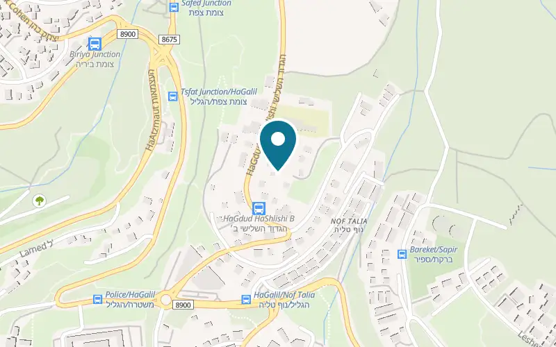 Map showing Villa Galilee at 106 HaGdud HaShlishi Street, Mount Canaan, Safed