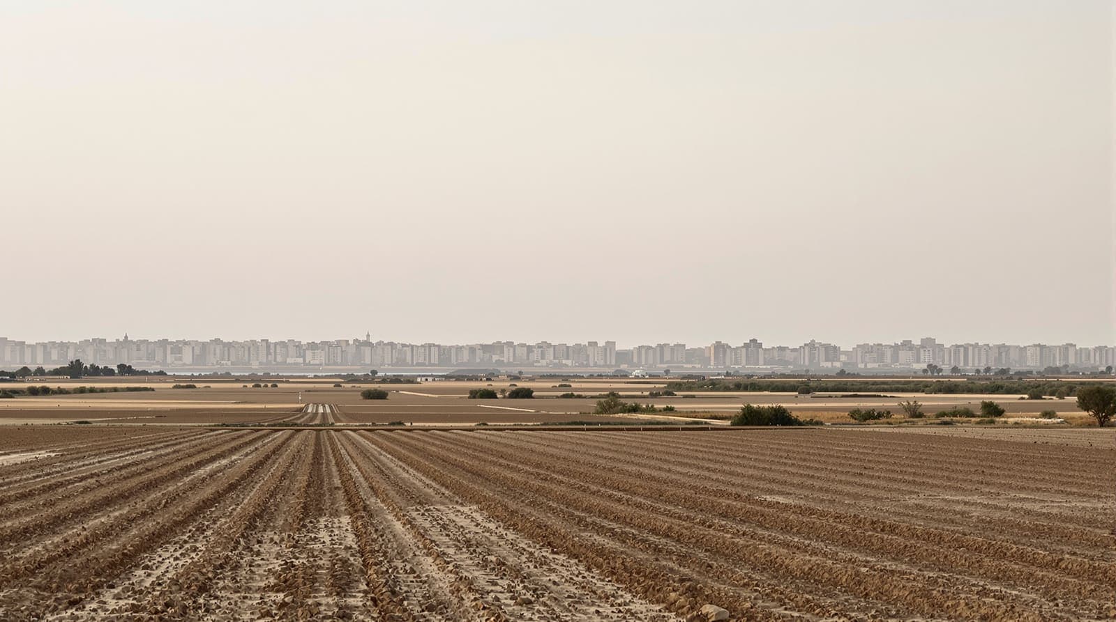 Illustration of the low concrete skyline of central Gaza seen in dawn haze across flat farmland