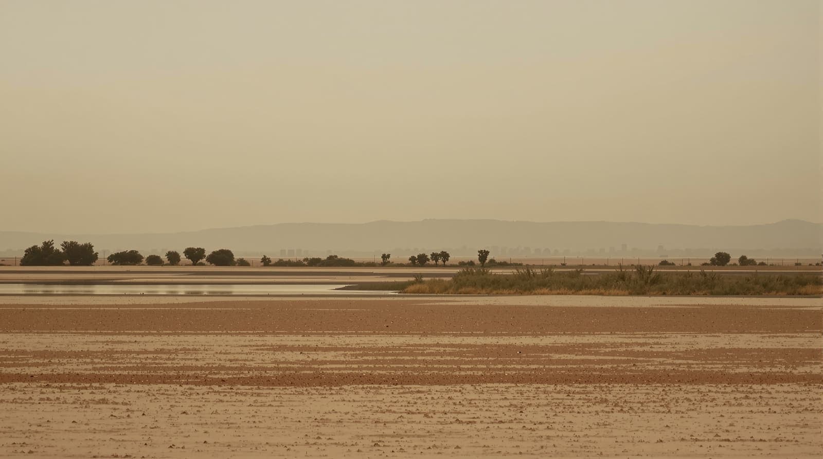 Illustration of a distant hazed southern Gaza skyline seen across flat open farmland at dusk under a muted sky.
