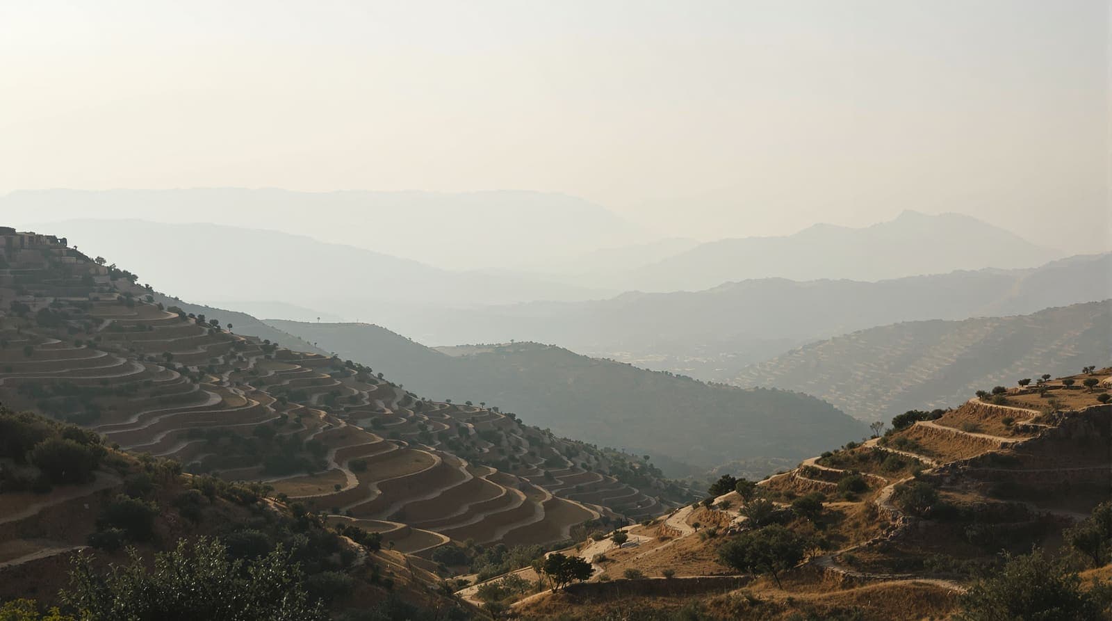 Illustration of terraced hills in southern Lebanon at dawn with distant haze over the valley.