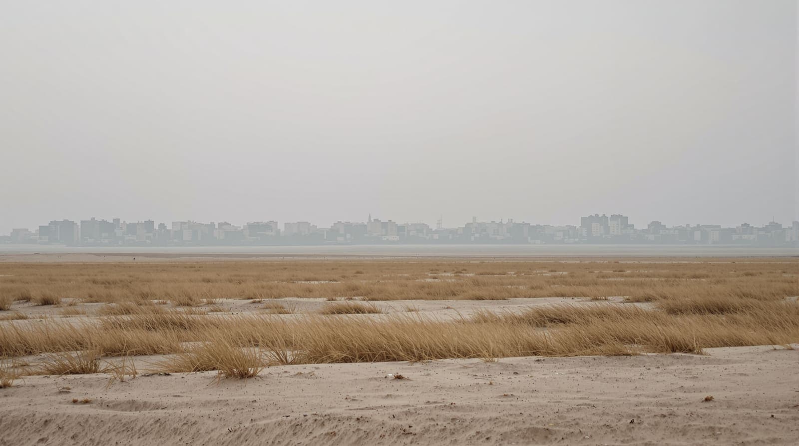 Illustration of the distant northern Gaza skyline in dawn haze, seen across bare scrub fields from a limestone ridge.