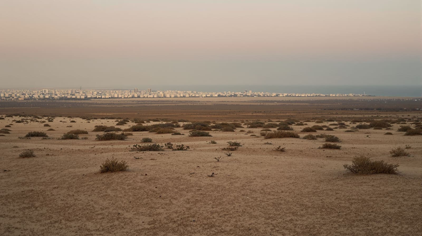 Illustration of a hazy southern Gaza skyline seen at dusk from open scrubland, distant pale buildings low on an unbroken horizon.