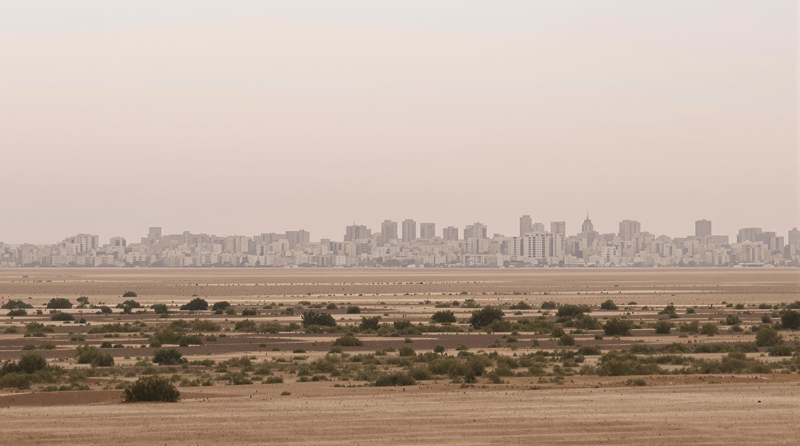 Illustration of the hazed low skyline of central Gaza seen across empty farmland at dawn