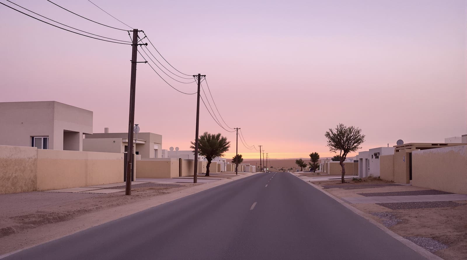 Illustration of an empty street of low pale houses on the edge of a Negev town at dusk, with desert ground beyond.