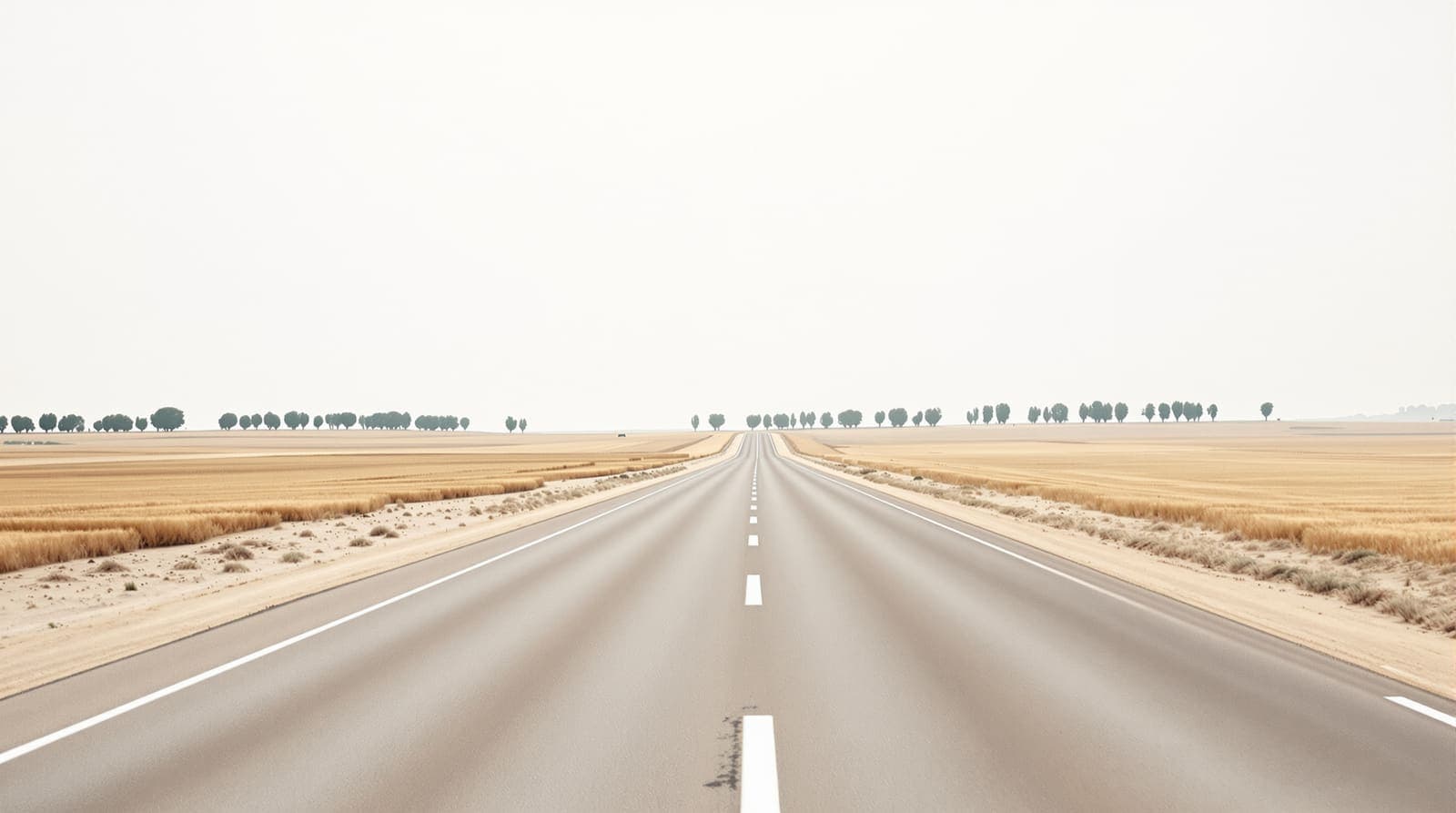Illustration of an empty two-lane highway crossing flat farmland and eucalyptus rows in the western Negev under an overcast sky.