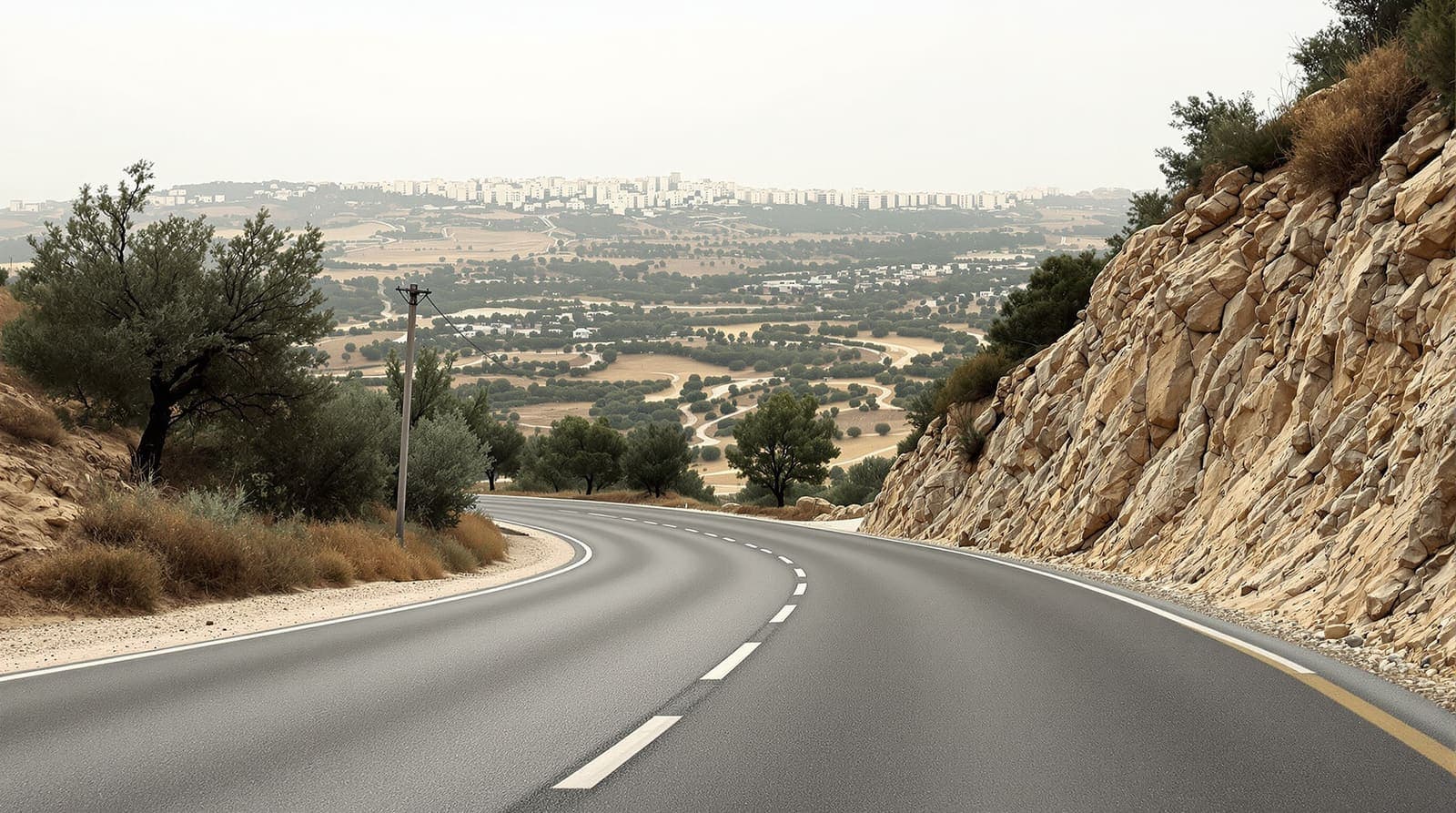 Illustration of an empty hilltop road winding through limestone scrub and olive terraces in the Binyamin region at dawn.