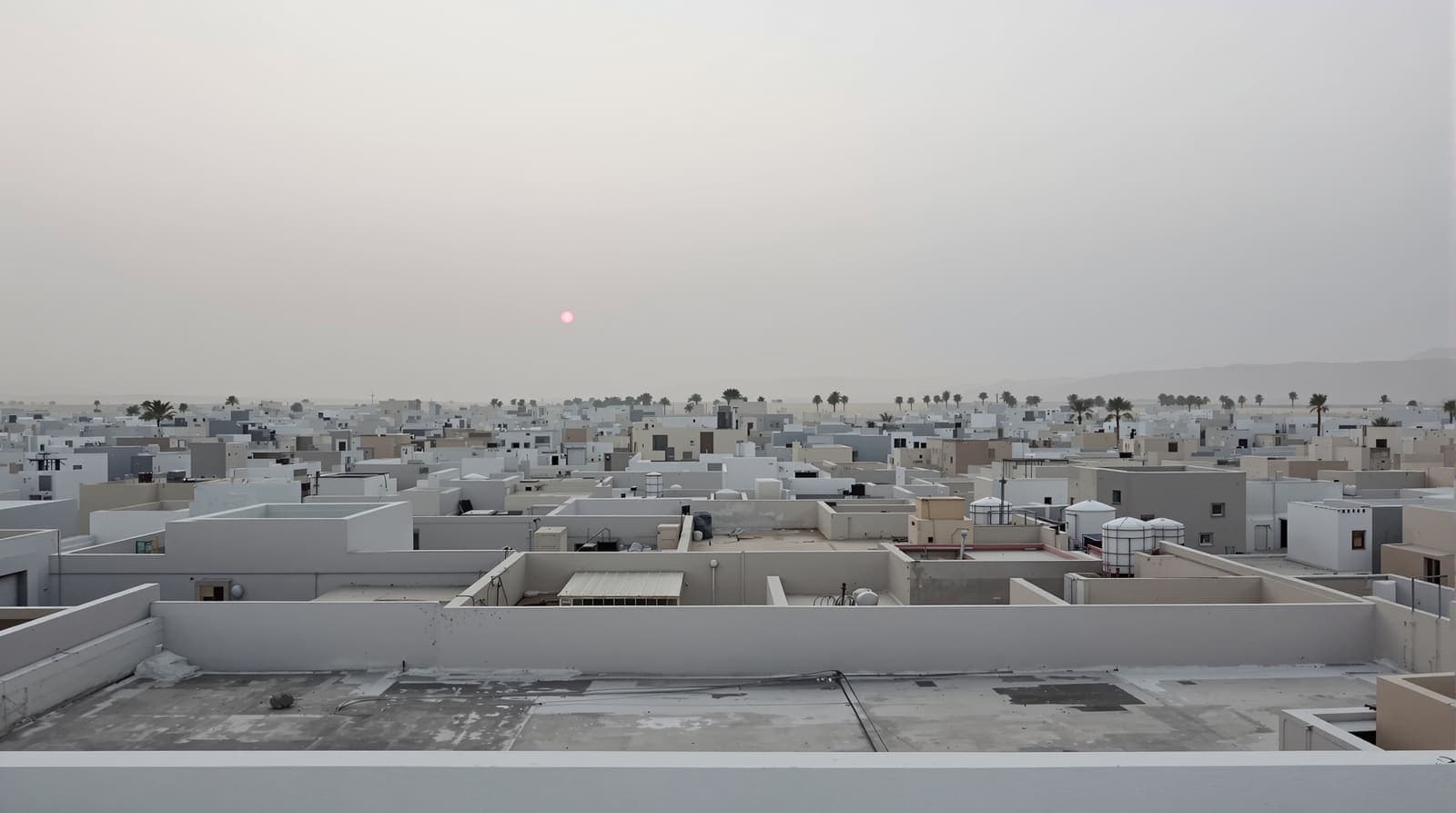 Illustration of flat concrete rooftops across a dense Gaza city at dawn under a hazy overcast sky
