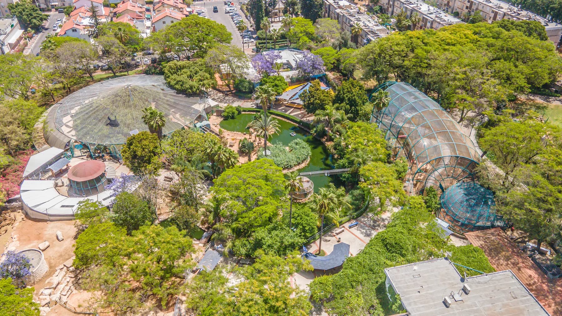 The Petah Tikva Zoo seen from above, its enclosures and paths among trees
