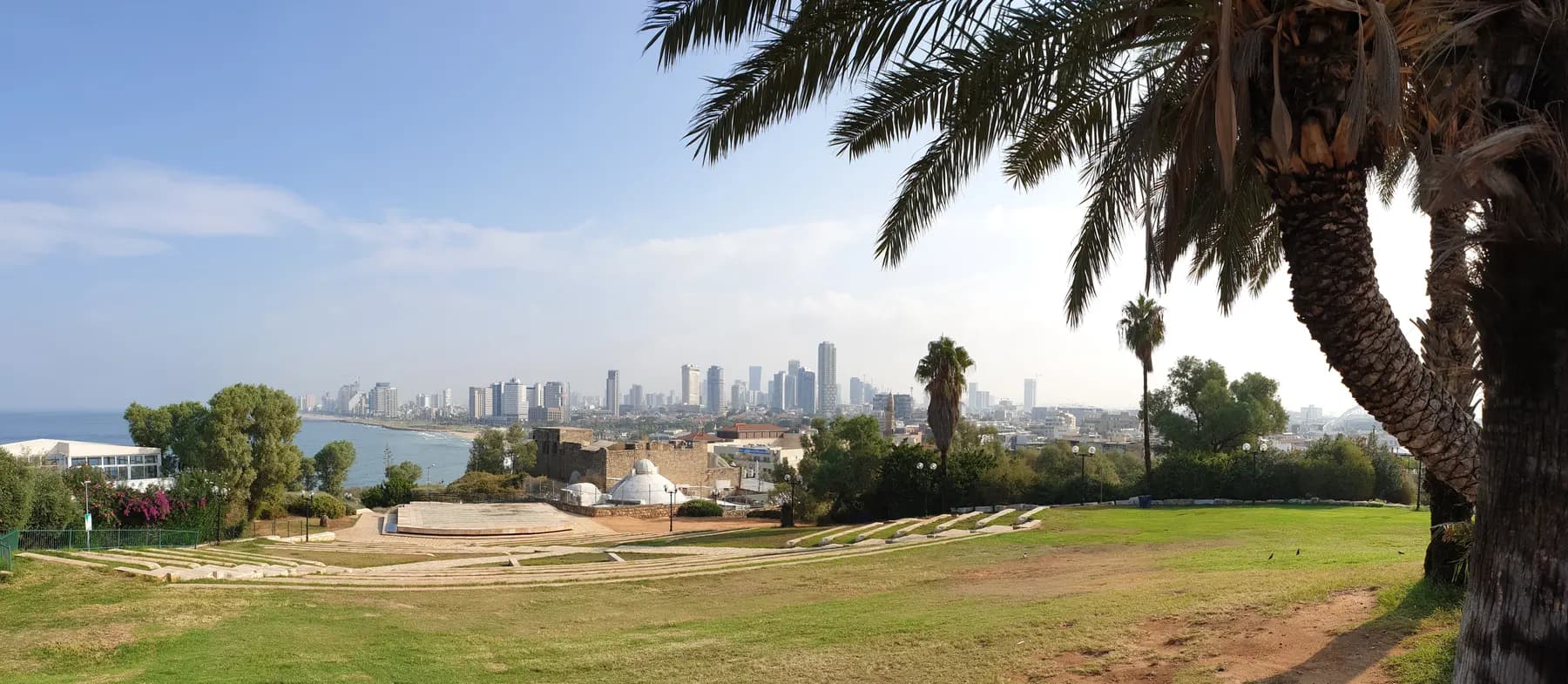 Mown lawn and the stepped stone seating of the hilltop park at Jaffa, with palm trees to the right and the Tel Aviv skyline along the coast beyond