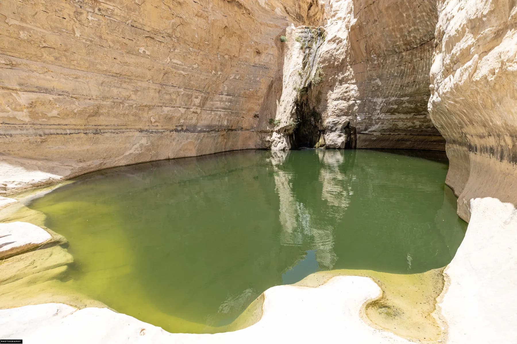 A green spring-fed pool curving between sheer white chalk canyon walls at Ein Avdat, with a narrow cleft in the rock at the far end