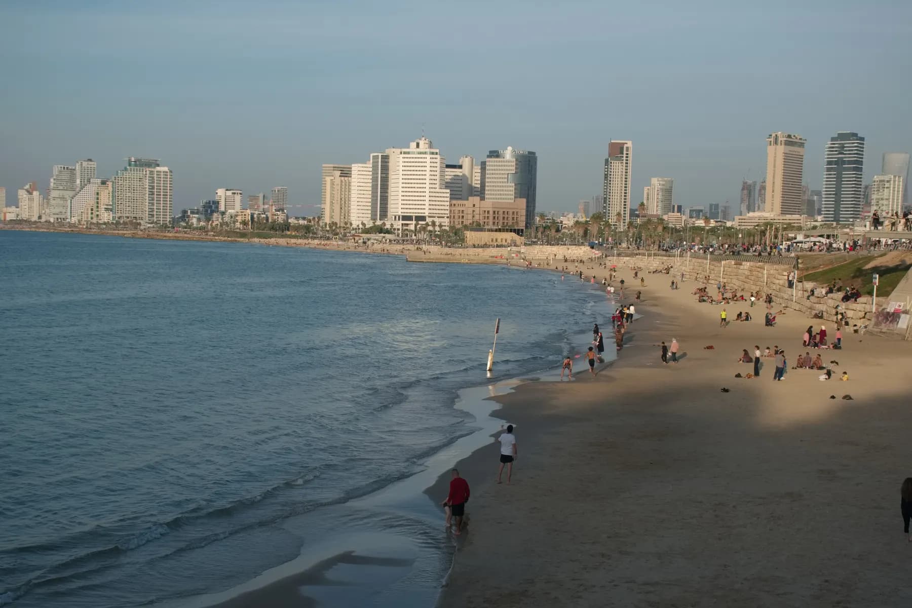 The curving sand of the Tel Aviv beachfront with small waves breaking along the shore and the city's high-rise towers standing behind the palm-lined promenade