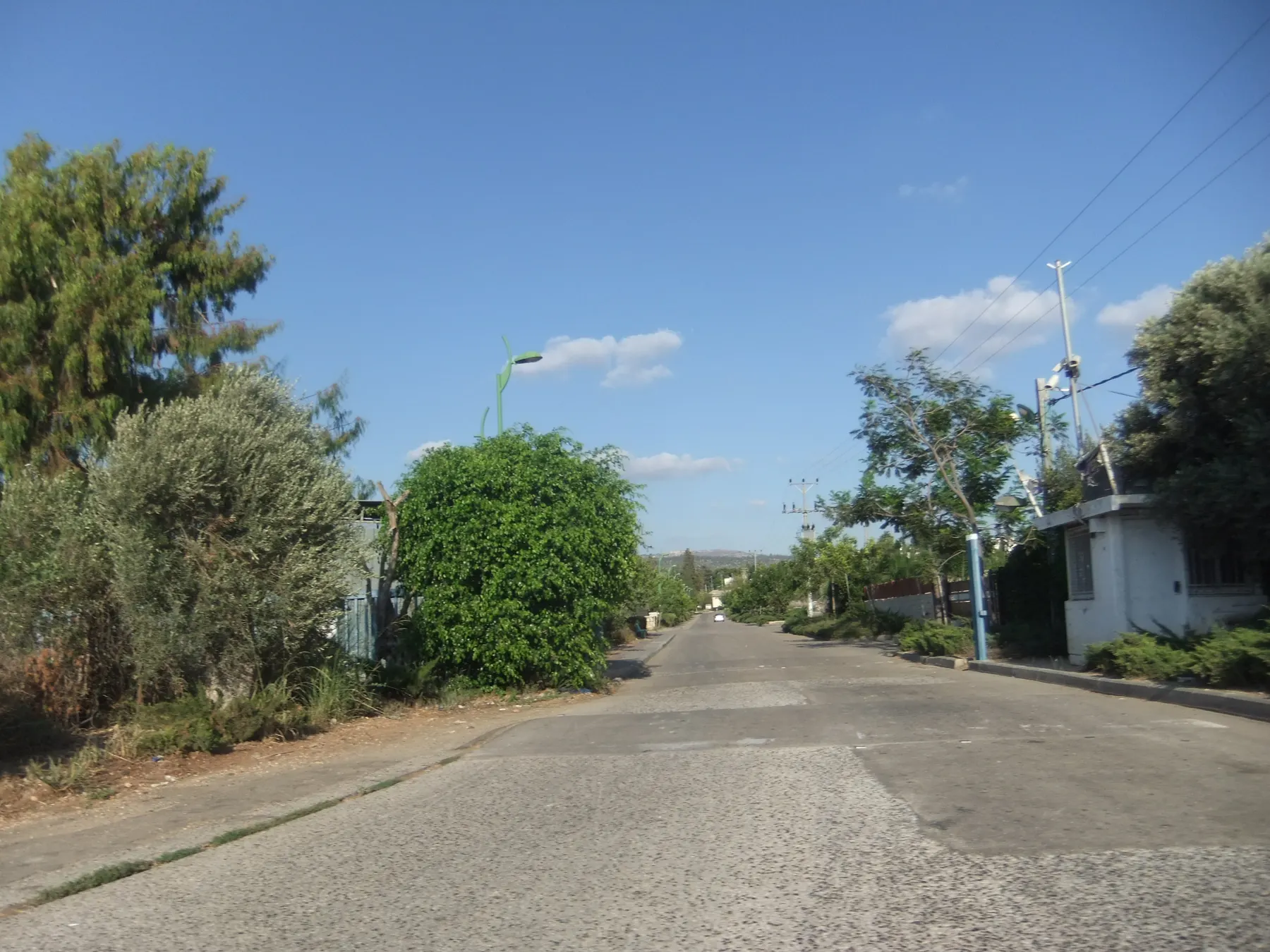 The entrance road into Ahihud, with a small white guard booth, bushes and trees on both sides and a blue sky.