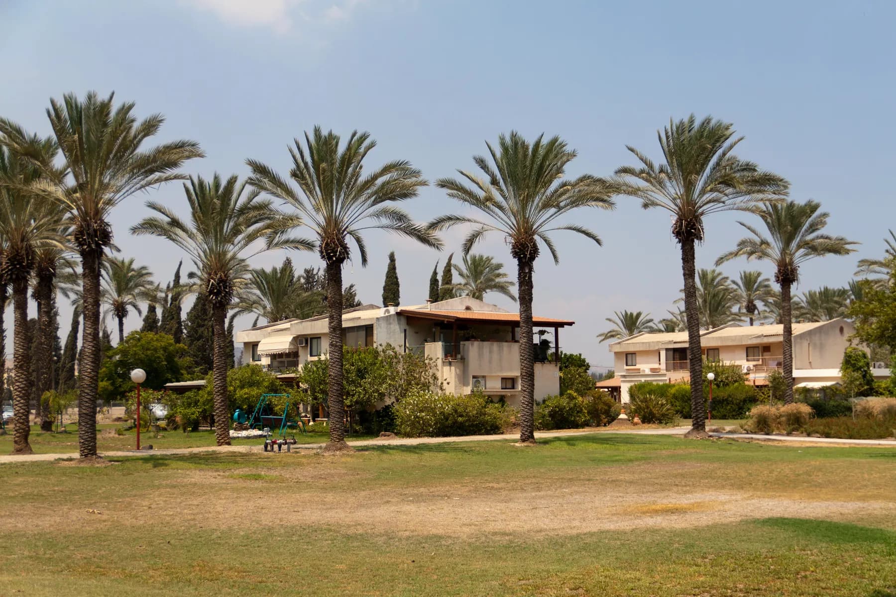 Two-storey houses behind a wide lawn with tall palm trees in Ashdot Ya'akov Ihud.