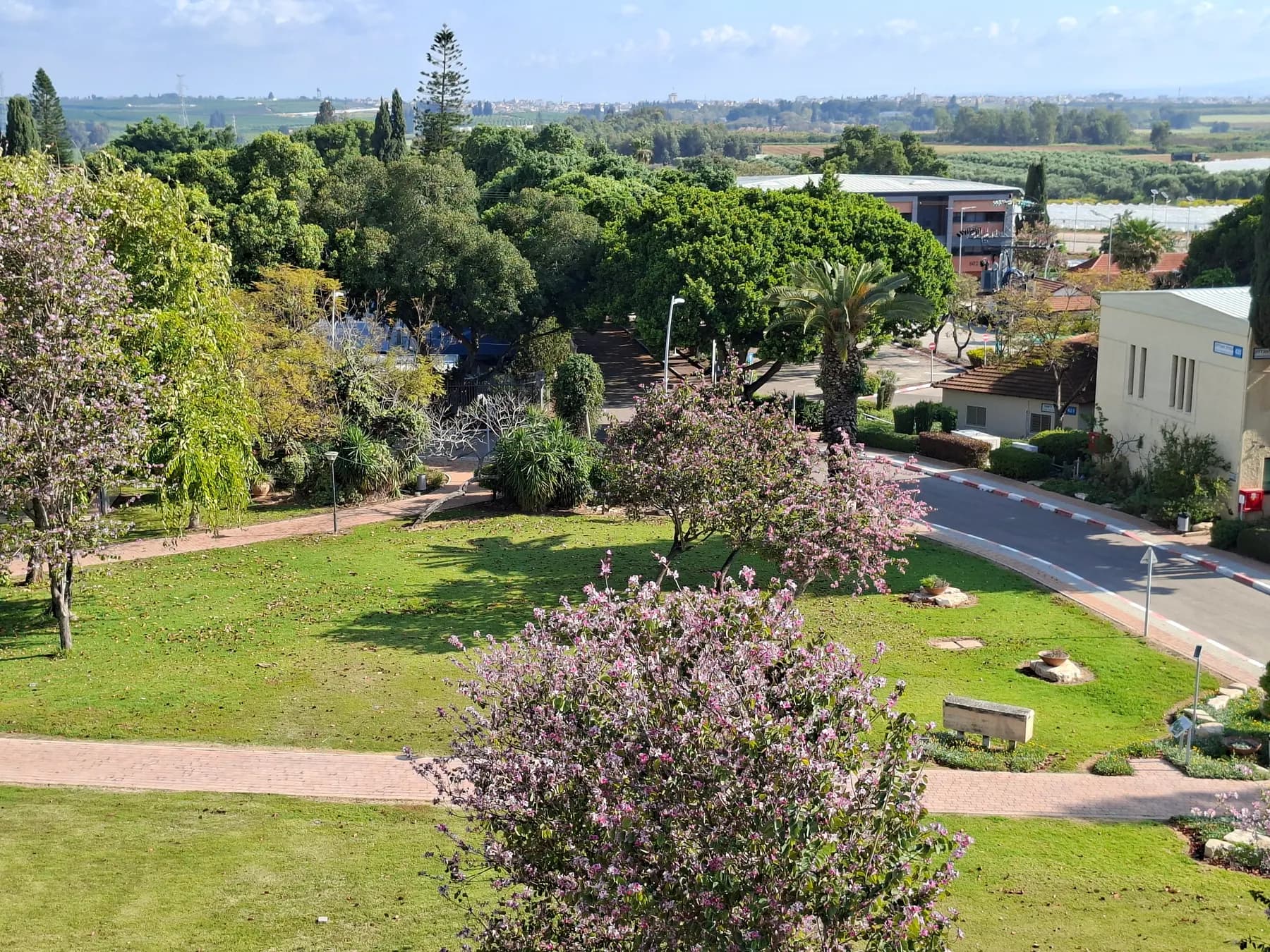 A view from above over lawns, flowering trees and a curving road between campus buildings in Beit Berl, with fields stretching to the horizon.