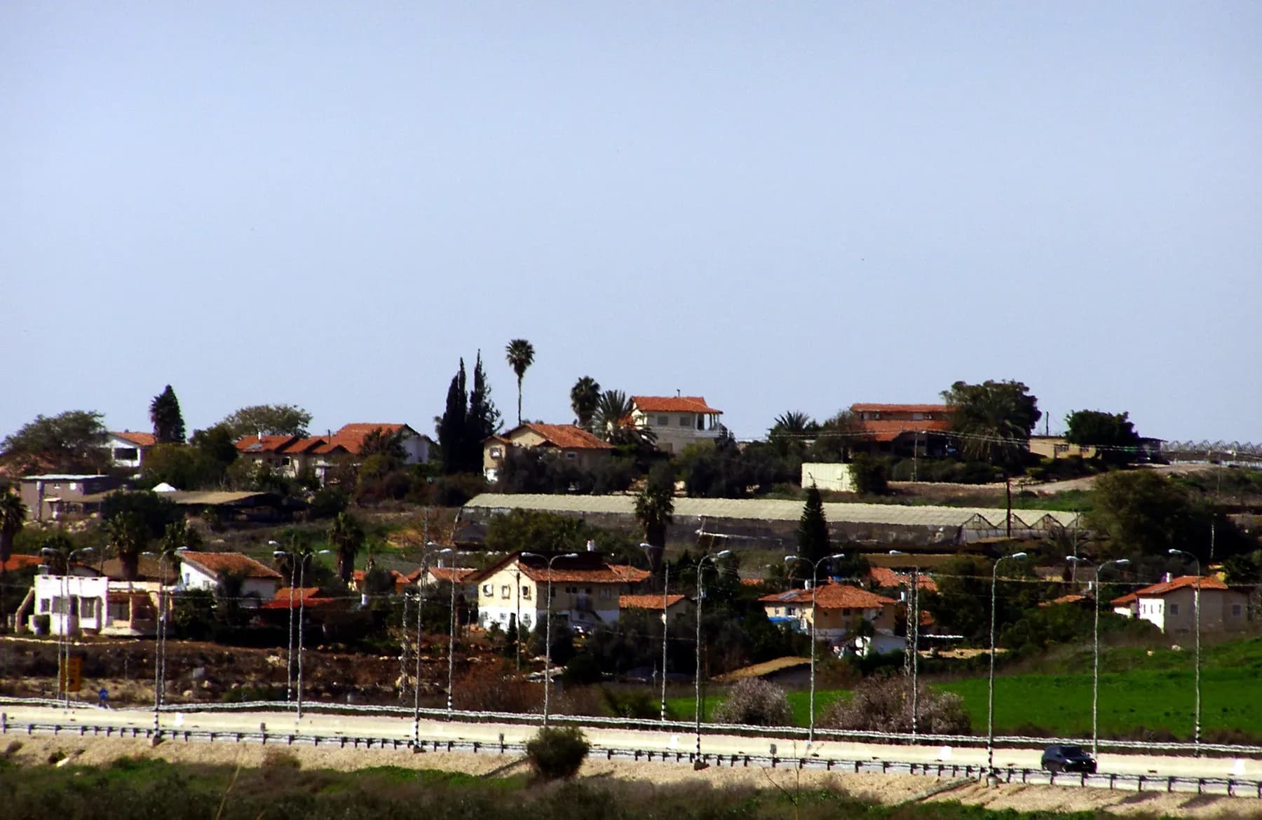 Red-roofed houses, palms and cypresses on a low rise in Beko'a, with a road lined with street lamps in the foreground.