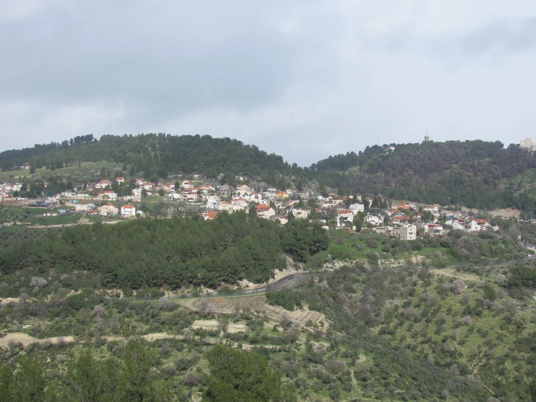 The houses of Birya spread along a hillside below pine-covered hilltops, seen across a wooded valley under a cloudy sky.