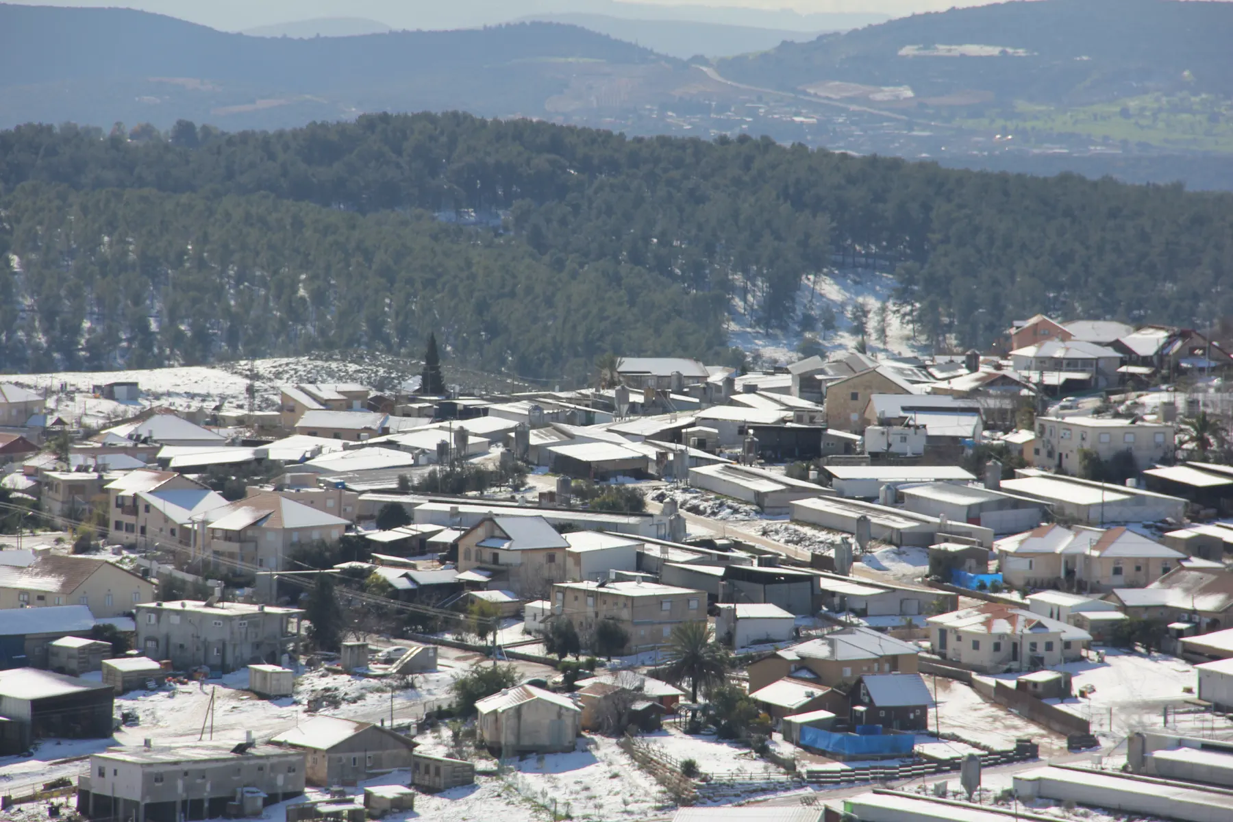 The houses of Dalton under snow, their roofs white, packed along a slope with dark pine forest and hills behind.