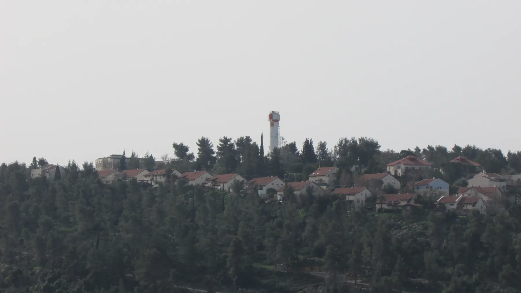Houses with red roofs and a water tower on a hilltop above pine woods in Dolev.