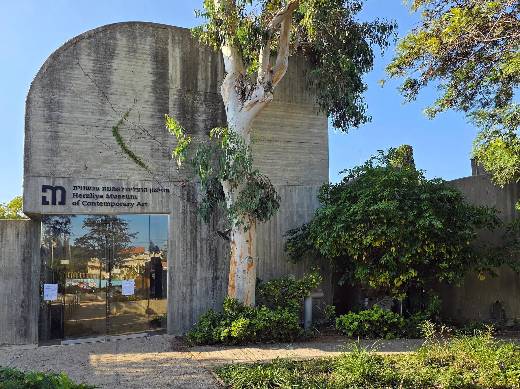 The entrance of the Herzliya Museum of Contemporary Art, a concrete building among trees in the city centre
