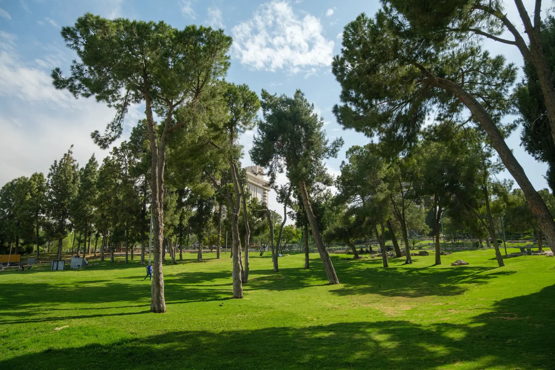 Lawns and pine trees in Independence Park, central Jerusalem