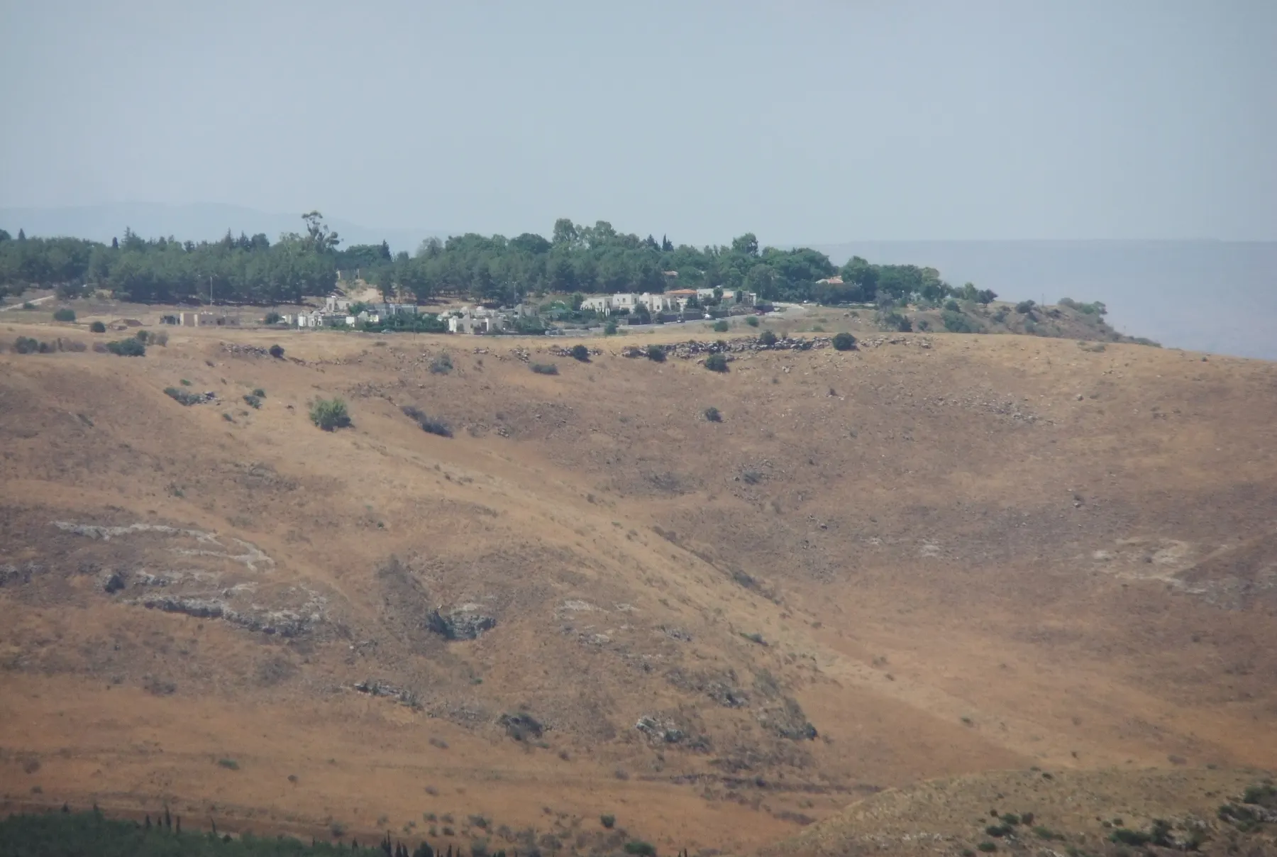 Kfar Haruv seen from a distance, its houses and trees along the top of a dry grassy slope, with haze beyond.