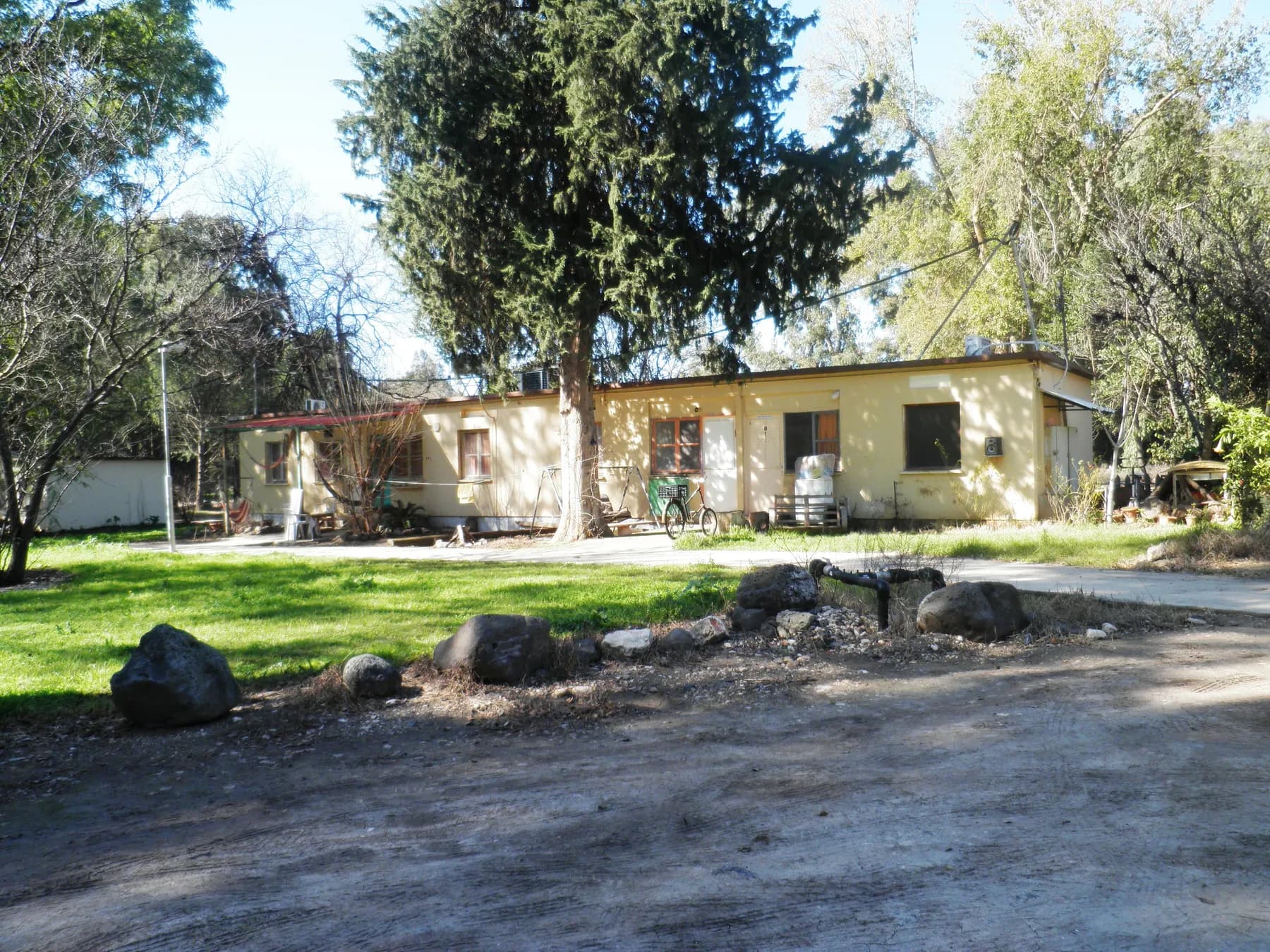 A row of yellow single-storey houses under tall trees in Lahavot HaBashan, with a lawn and dark basalt boulders in front.