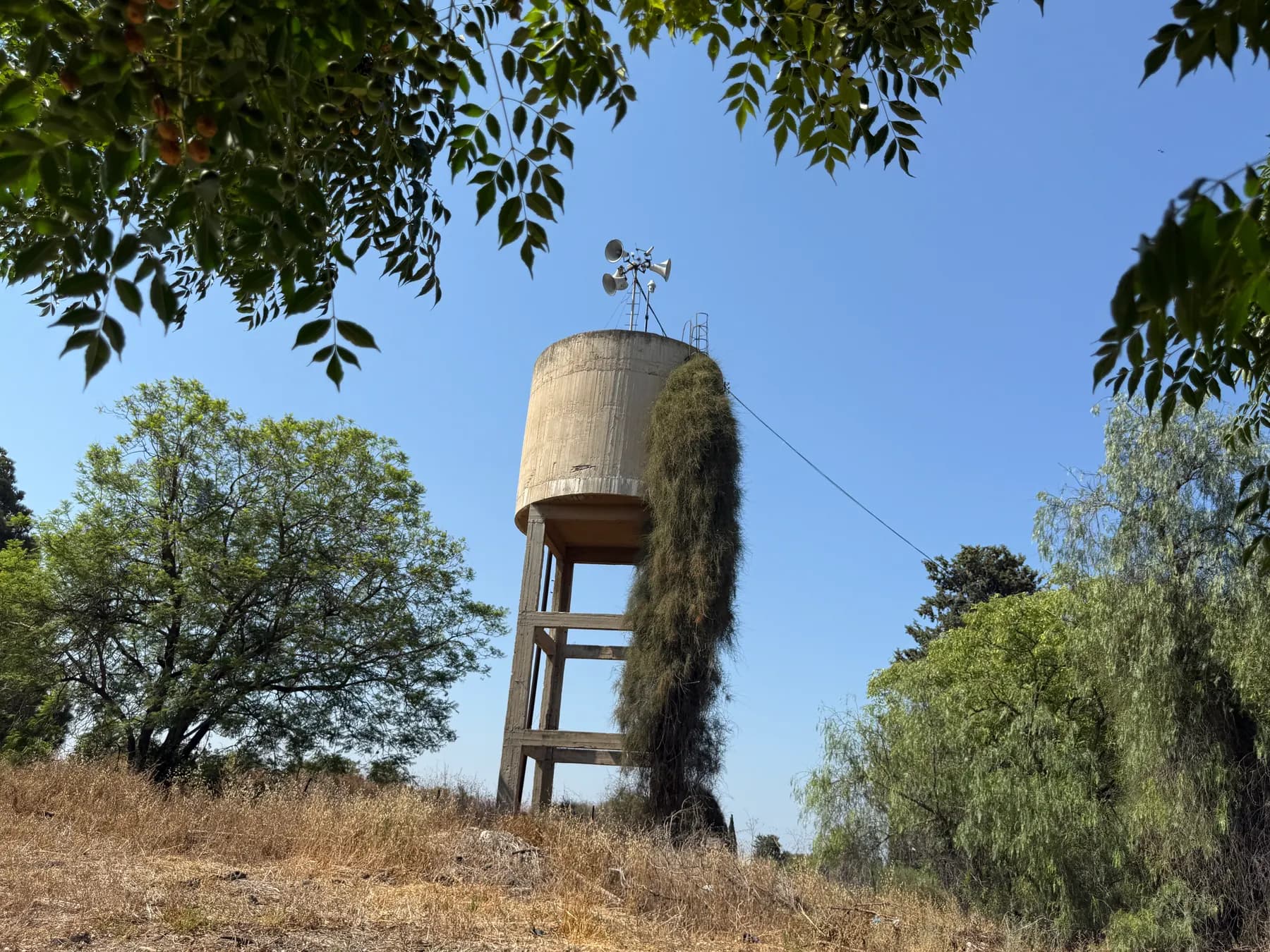 The concrete water tower of Liman, standing on pillars beside a tall cypress, among trees on a slope of dry grass.
