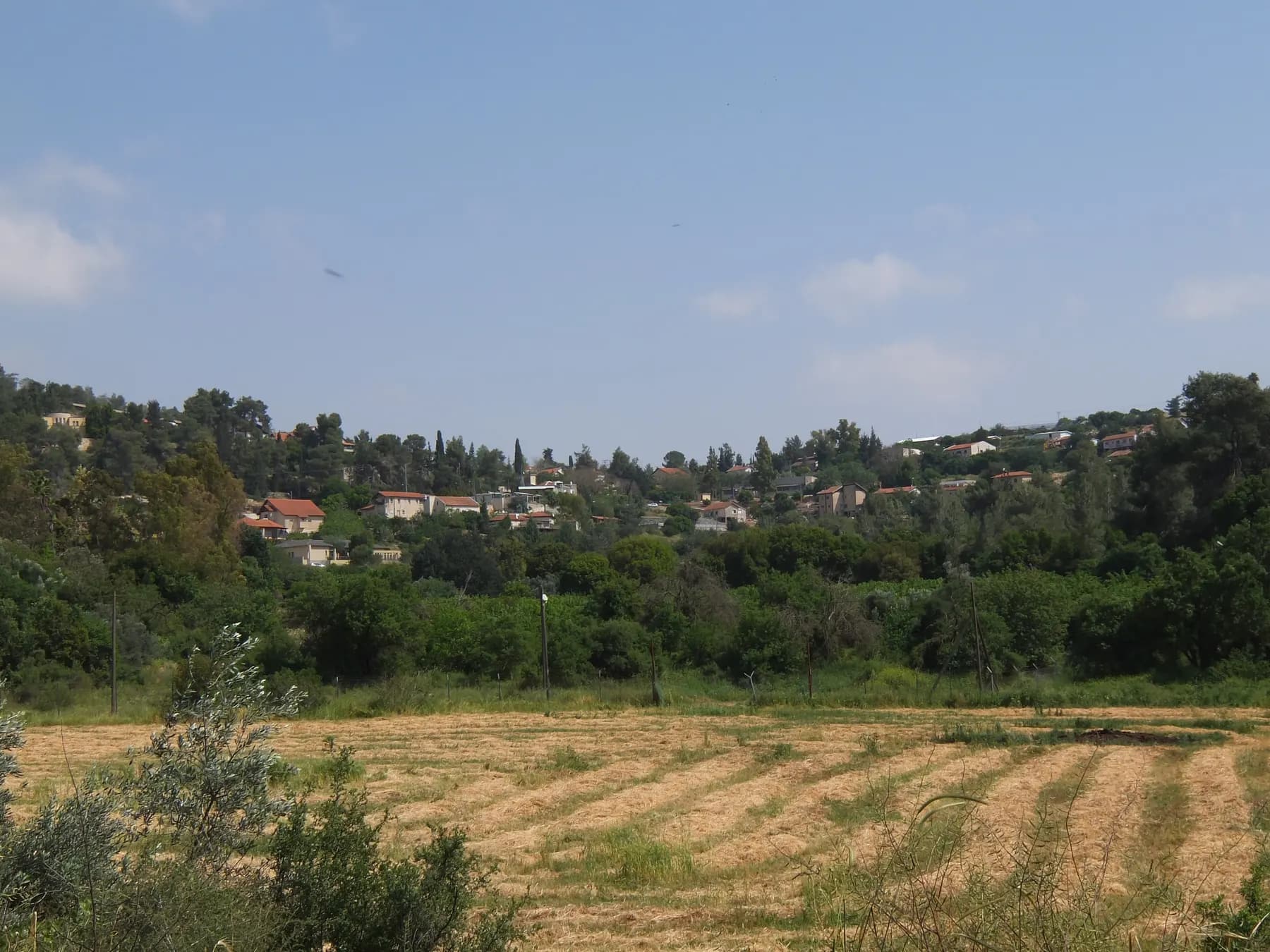 Houses of Mata among trees on a wooded hillside, seen across a mown field in the valley below.