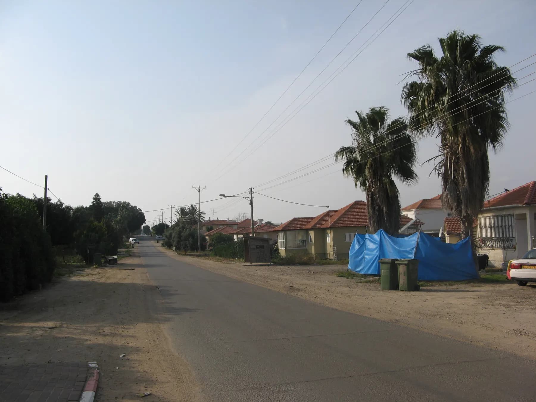 A street of single-storey houses with tiled roofs and two tall palms in Matzliah, with a blue tarpaulin and bins at the roadside.