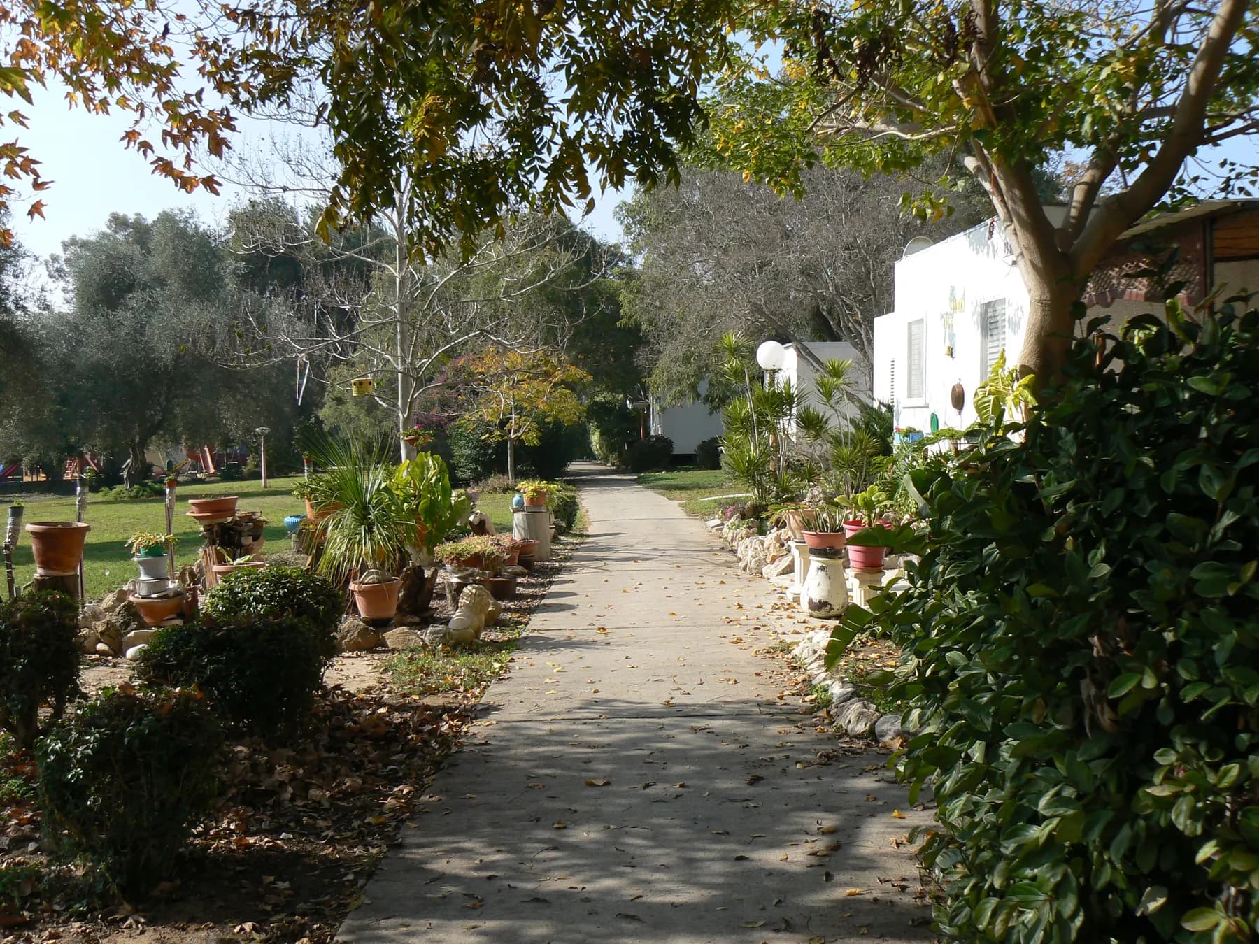 A paved path in Mefalsim lined with potted plants and shrubs, between a lawn with trees and white houses.