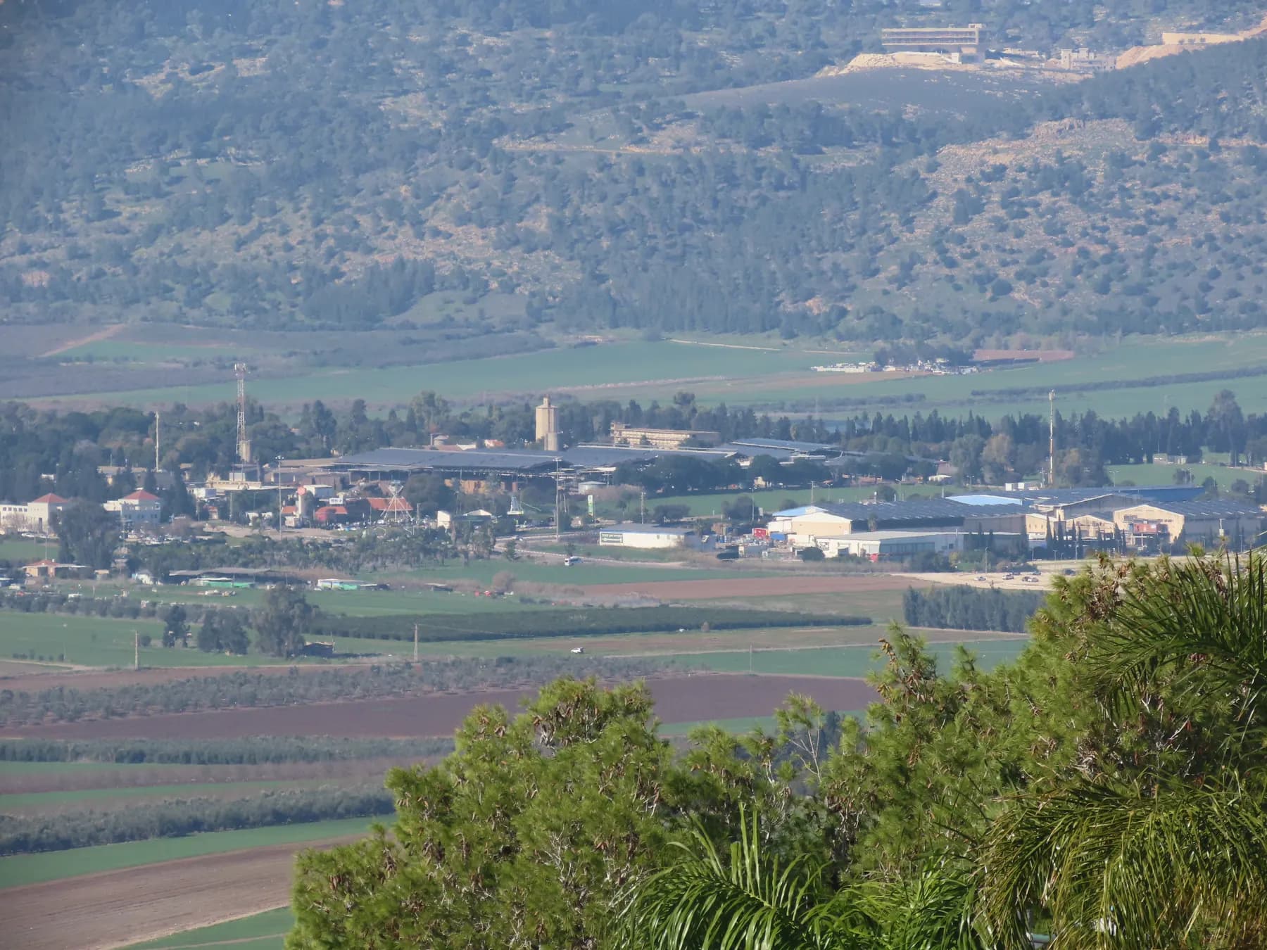 A distant view of Mizra, with large farm and factory roofs, a tall silo tower and trees among green fields, a scrub-covered hillside behind and pine branches in the foreground.