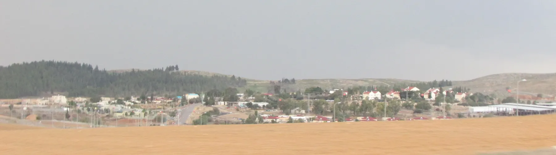 Houses and trees of Shomria along a low rise beyond a ripe wheat field, with a wooded hill behind.